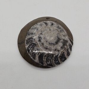 ammonite fossil pendant